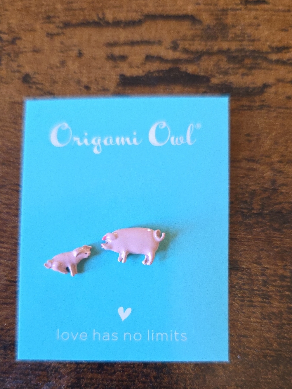 Origami Owl Pig Mom and Baby Charm Set